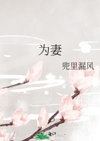 为妻报仇