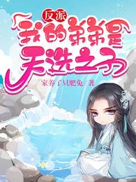 反派:我的弟弟是天选之子秦风秦昊