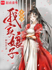 我只想安静做个赘婿