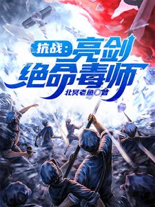 抗战:亮剑绝命毒师